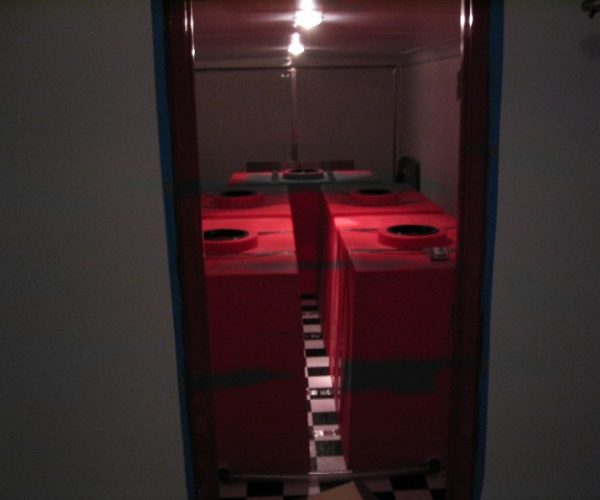 DOM 4